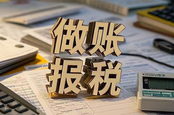 做账报税需要的资料