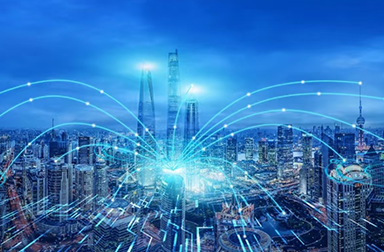 我们的人才理念